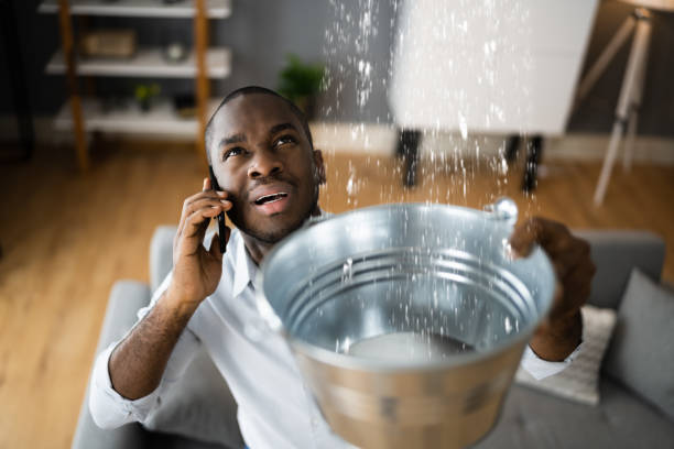 Best Emergency water damage restoration  in Momence, IL