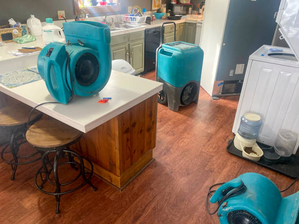 Best Emergency water damage restoration  in Momence, IL