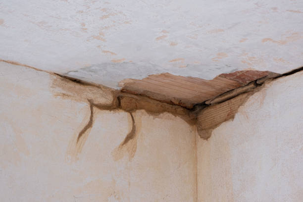 Best Flooded house restoration  in Momence, IL