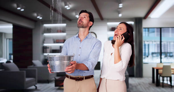 Best 24-hour water damage restoration  in Momence, IL