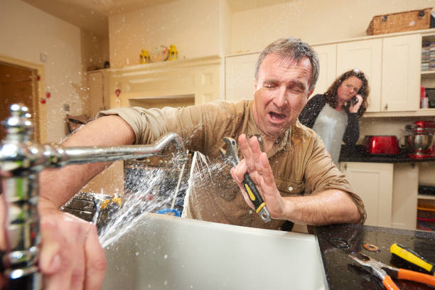 Best Professional water damage repair  in Momence, IL